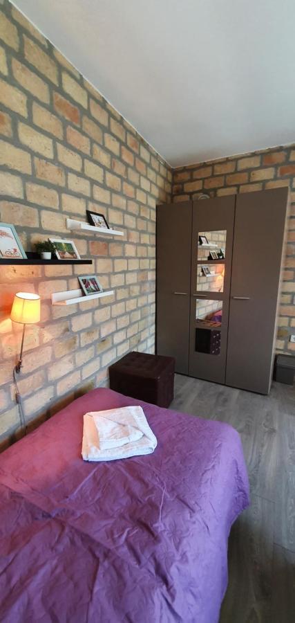 Bakina Kuca Apartment โกลูบาค ภายนอก รูปภาพ